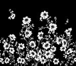 黑白花卉图简洁优雅