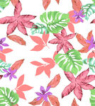 热带植物花卉水彩图案