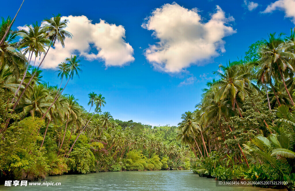热带河畔风光