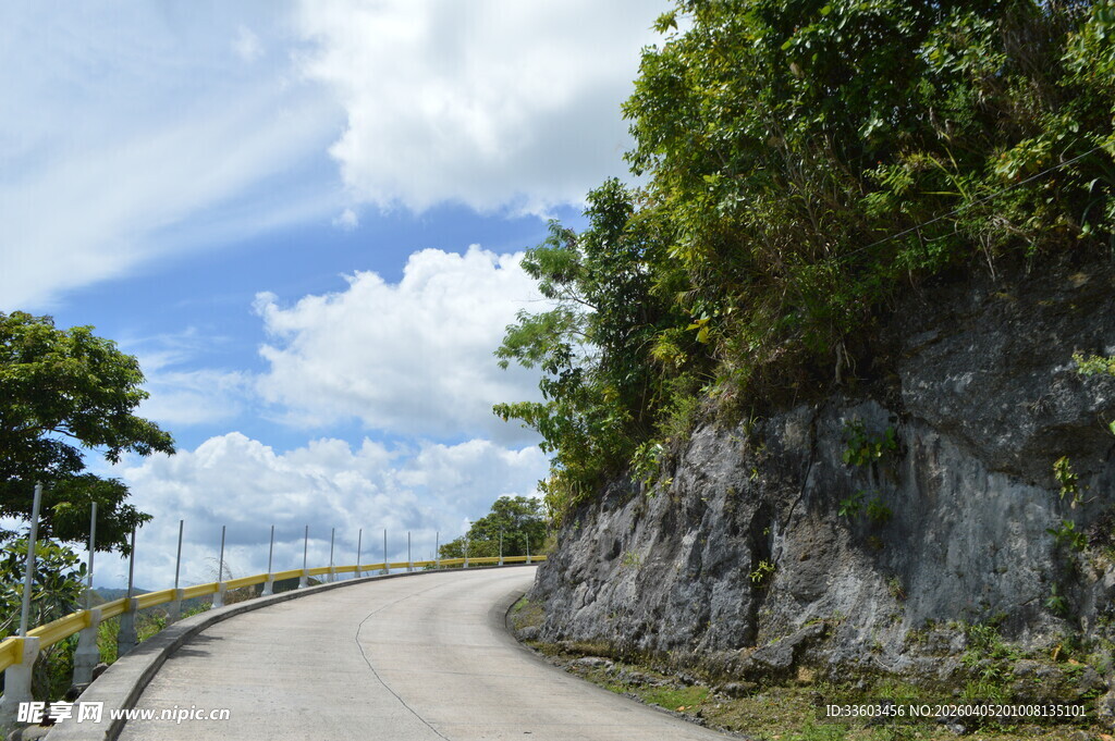蜿蜒山路旁的葱郁景致