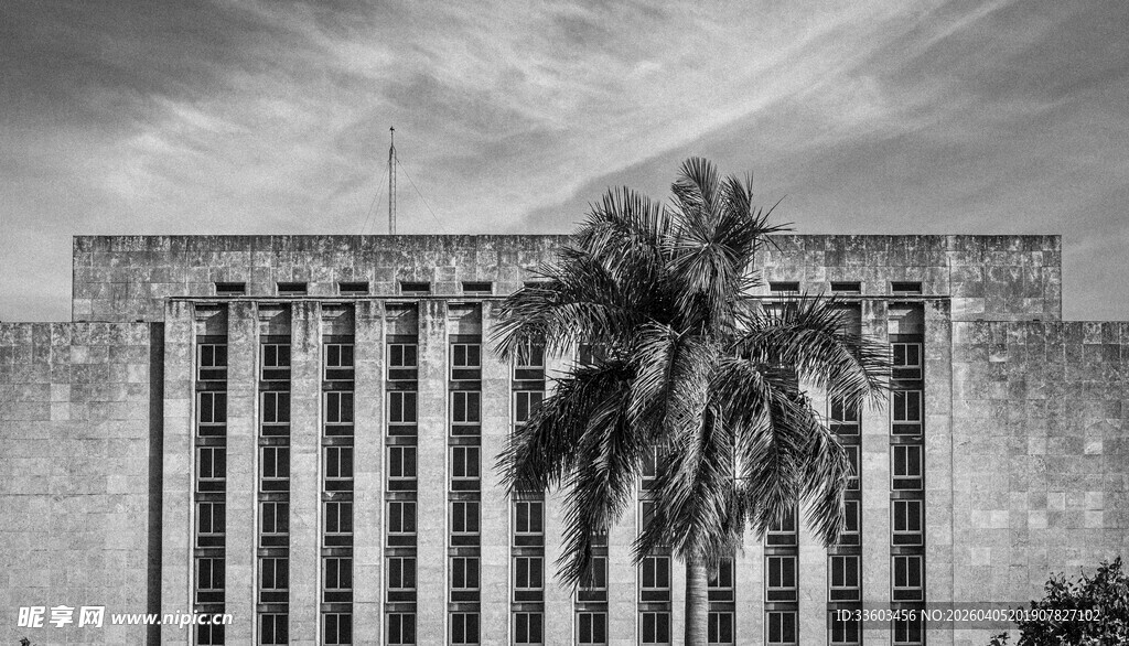 棕榈树旁的宏伟建筑