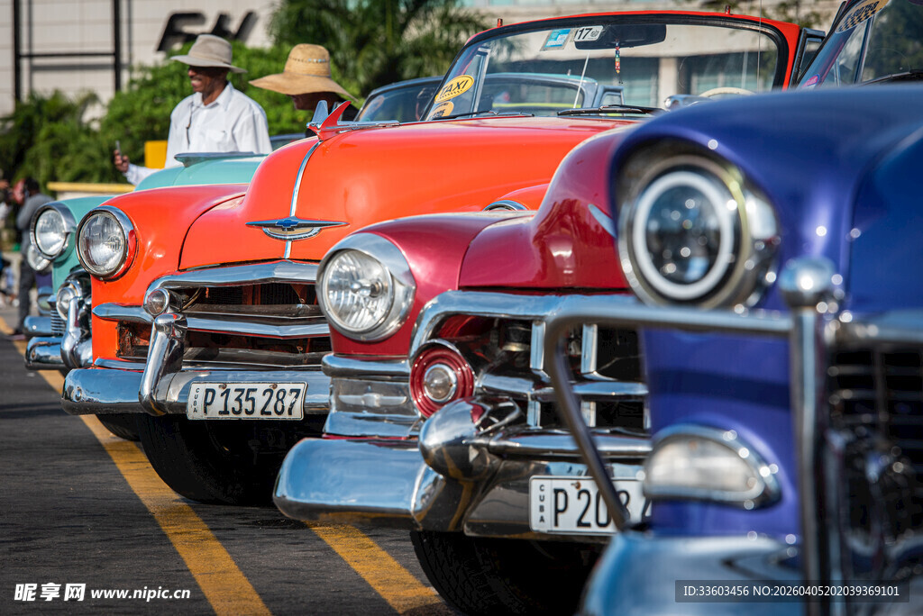 复古汽车整齐排列展示