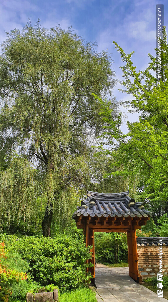 中式园林景观中的雅致凉亭