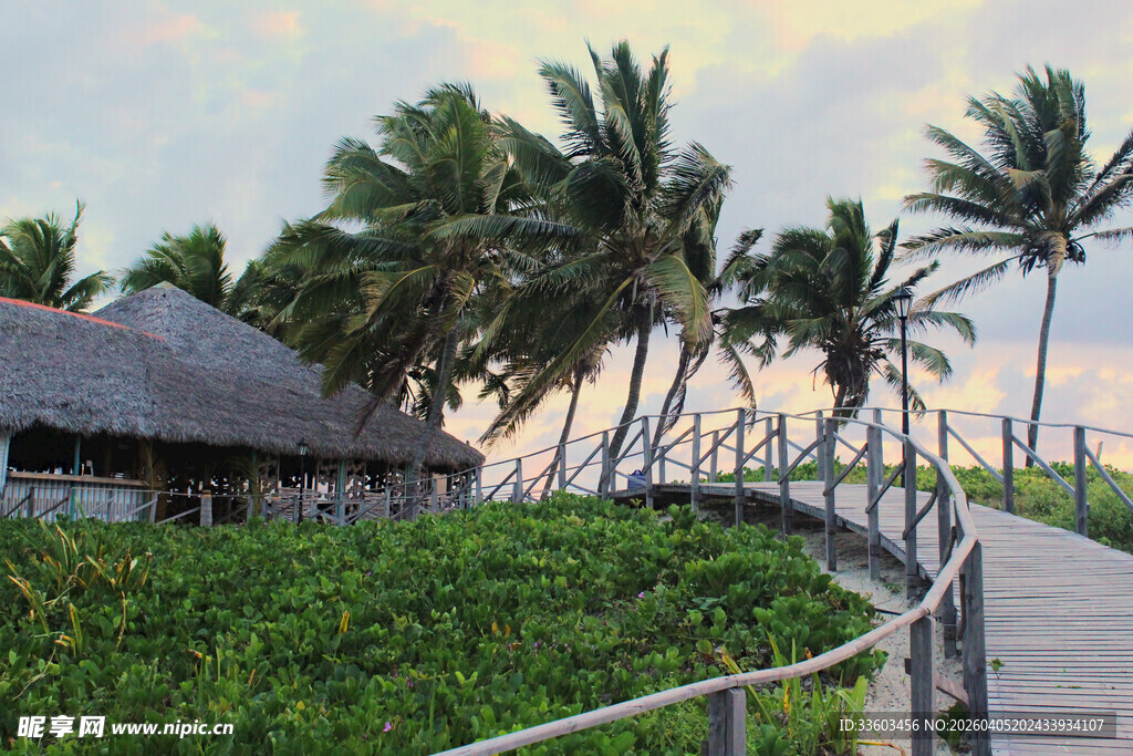 热带海滨木栈道风光