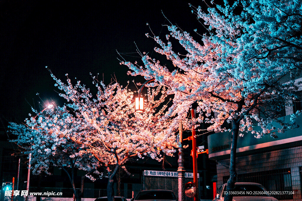 夜晚绚烂灯光装饰的树木