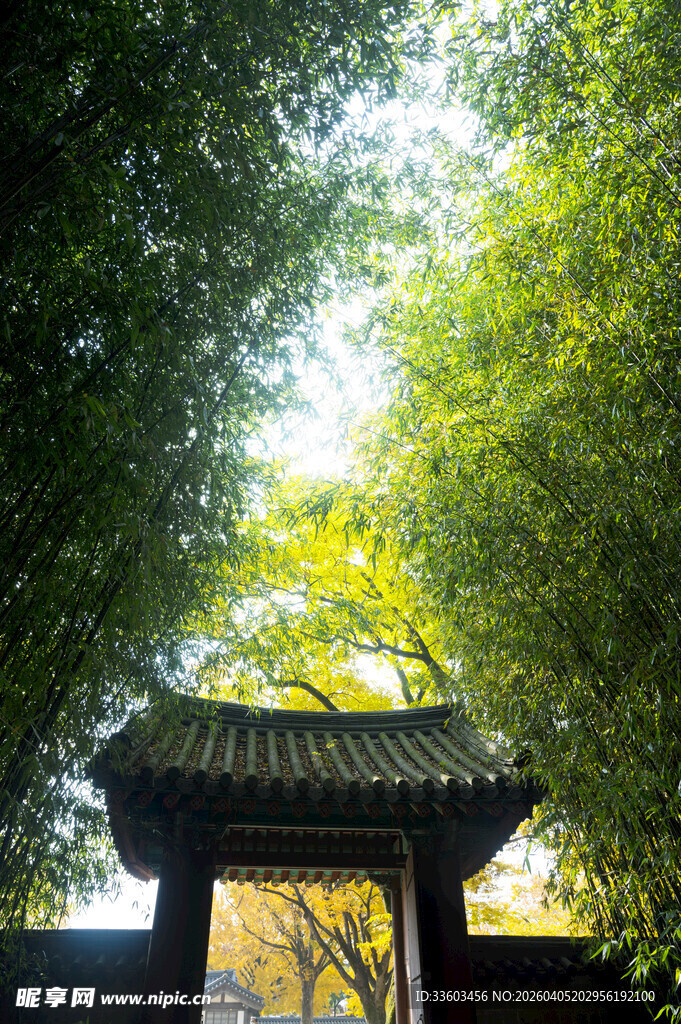 竹林中的中式门楼景观