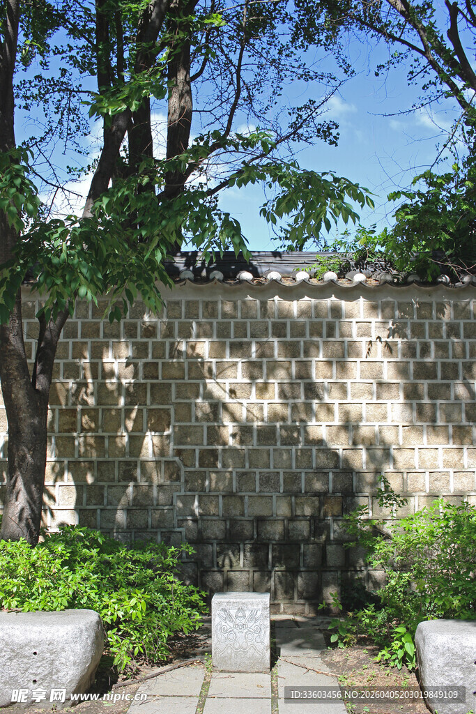 古朴石墙旁的绿树景致