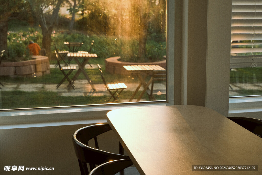 室内望向阳光洒落的庭院