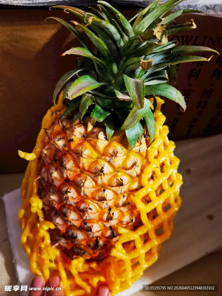 手捧黄色网套包裹的菠萝