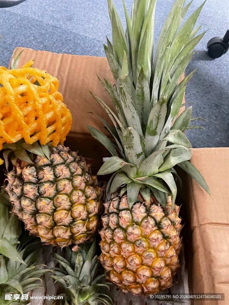 新鲜菠萝待售