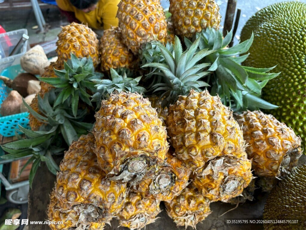 新鲜菠萝堆叠售卖