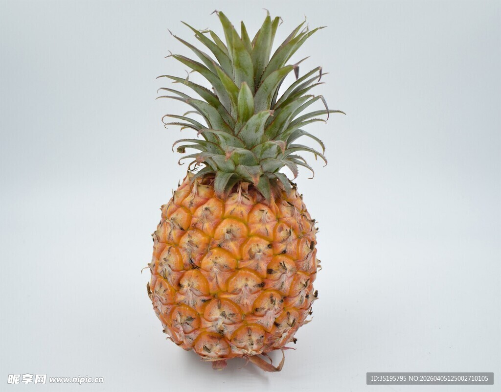 单个新鲜菠萝特写