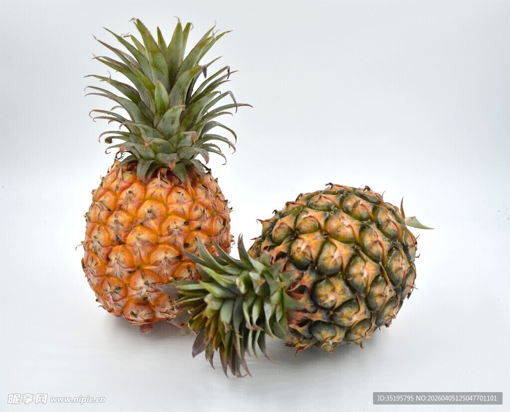 两个新鲜诱人的菠萝