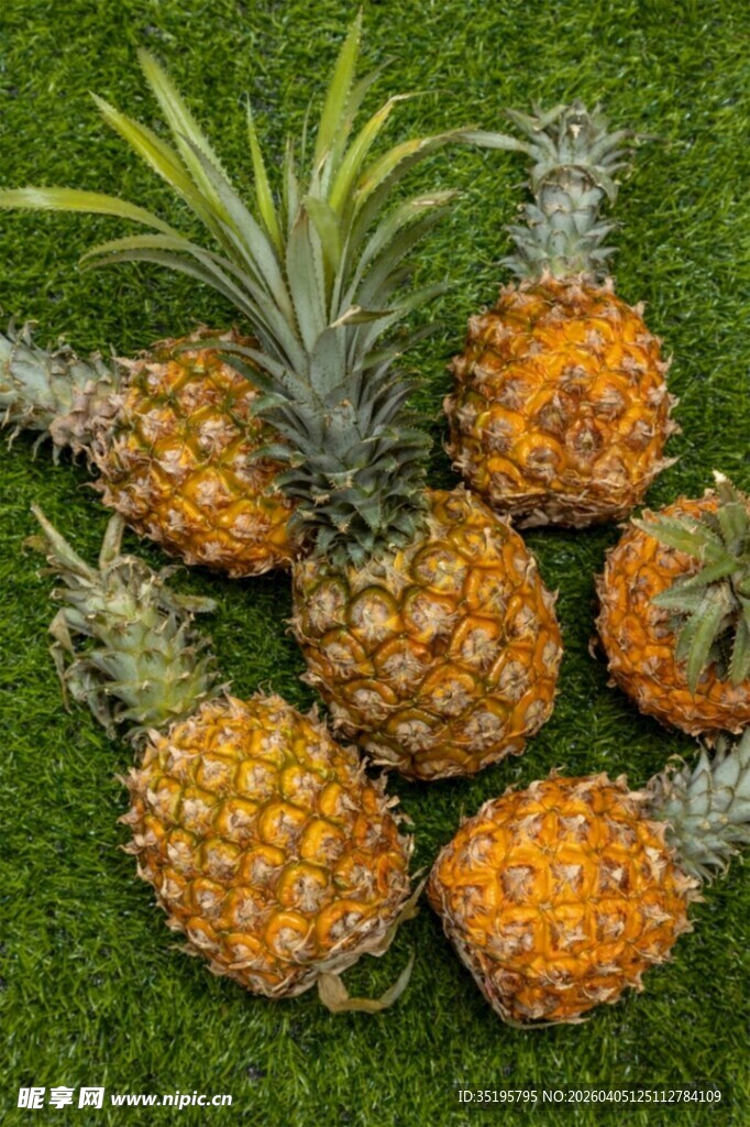 草地上的新鲜菠萝