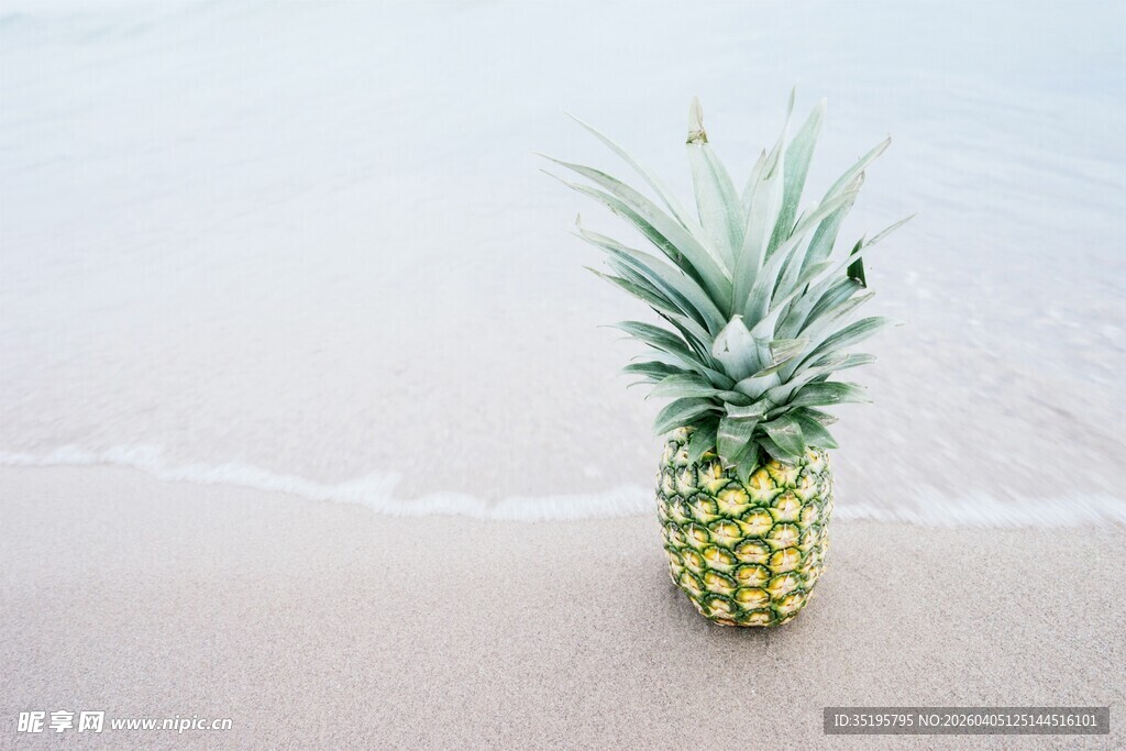 沙滩上的菠萝