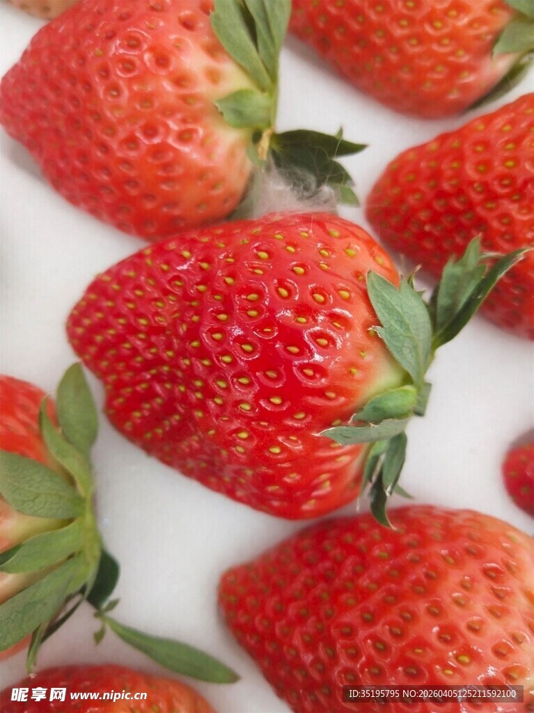 新鲜诱人的红草莓