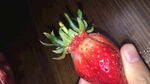 手捧鲜红草莓特写