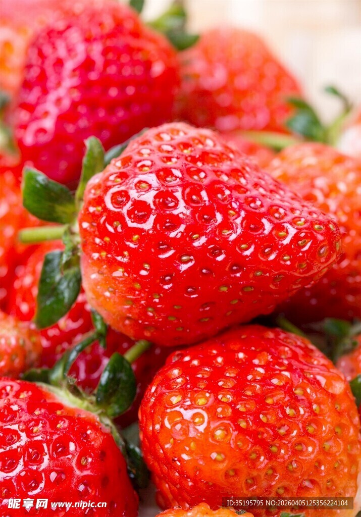 新鲜诱人的草莓果实