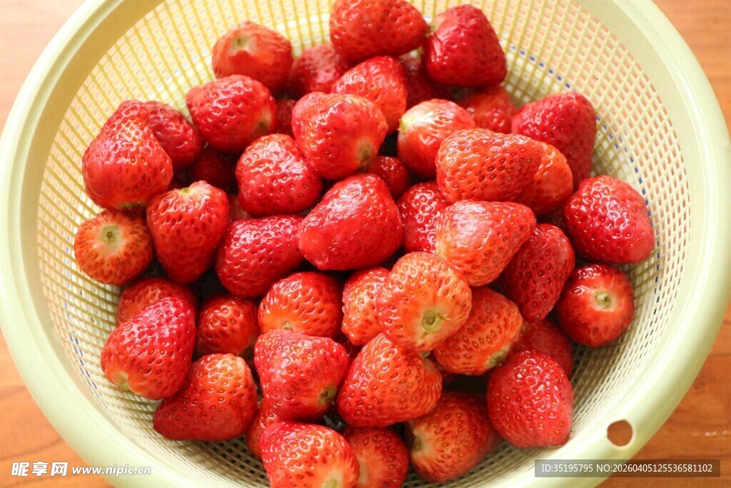 满满一盆新鲜诱人的草莓
