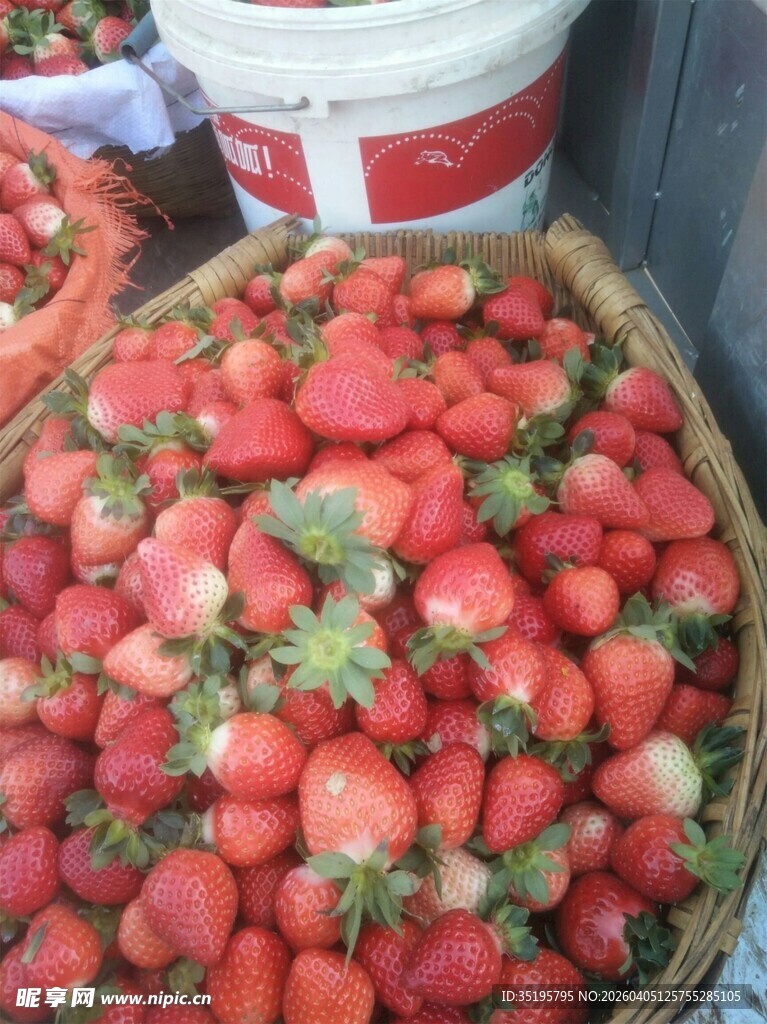 新鲜饱满的一筐草莓