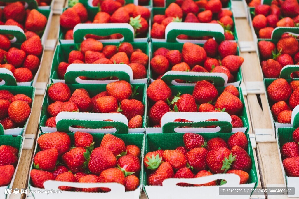 新鲜草莓整齐摆放待售
