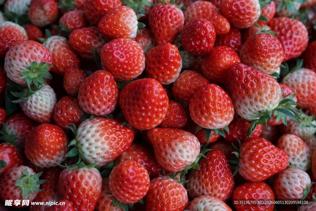 新鲜饱满的草莓堆