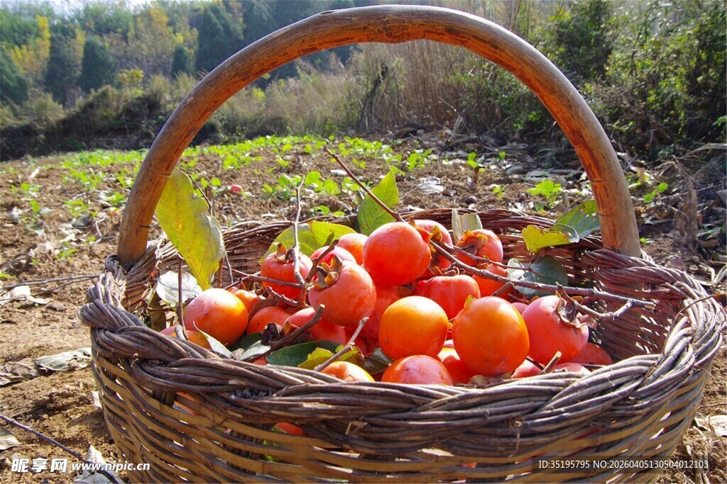 田园风装满蔬果的编织篮