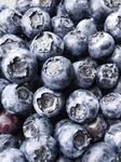 饱满蓝莓新鲜诱人
