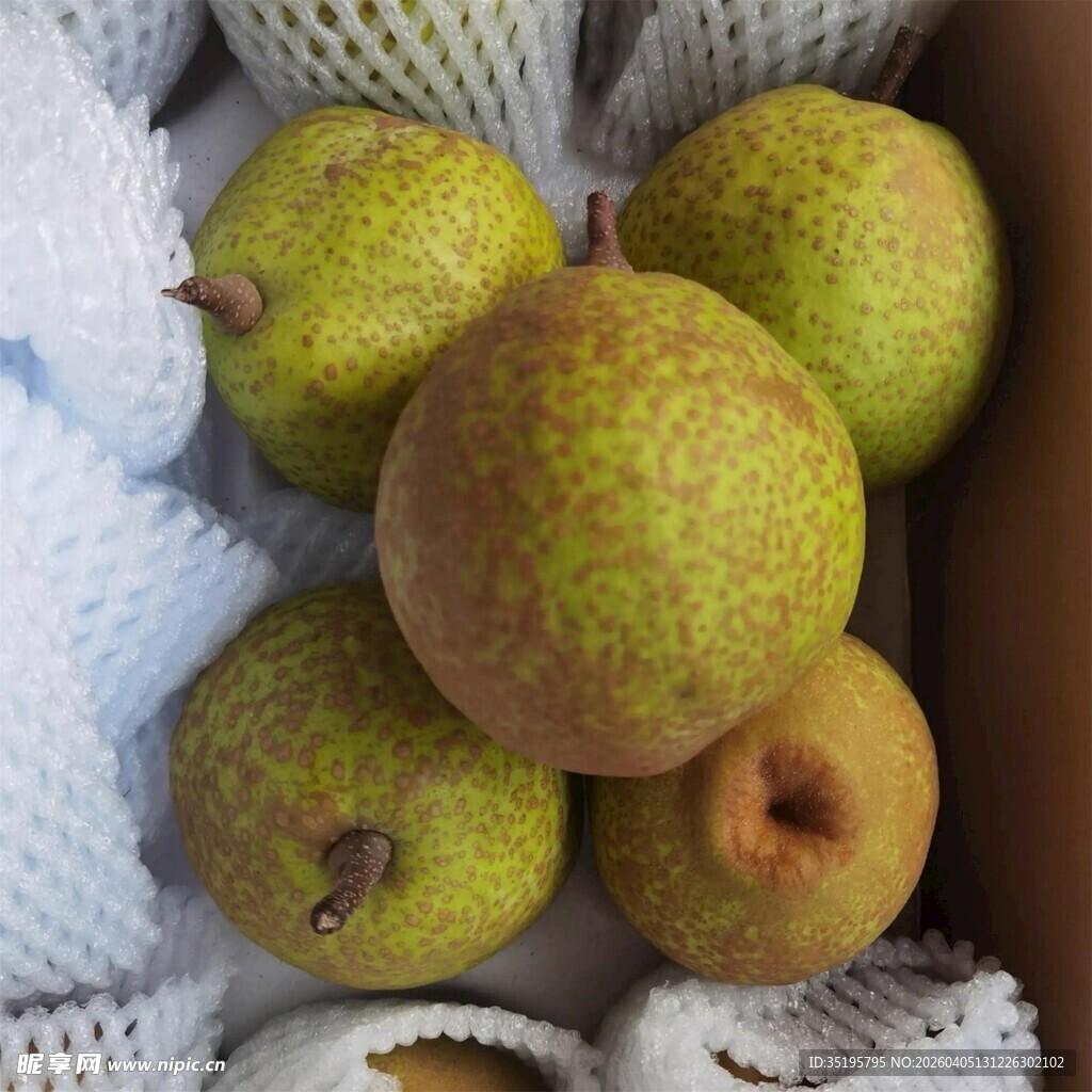 新鲜翠玉梨装箱待发
