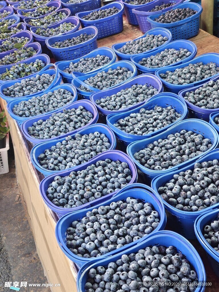 整齐摆放的蓝色水果篮