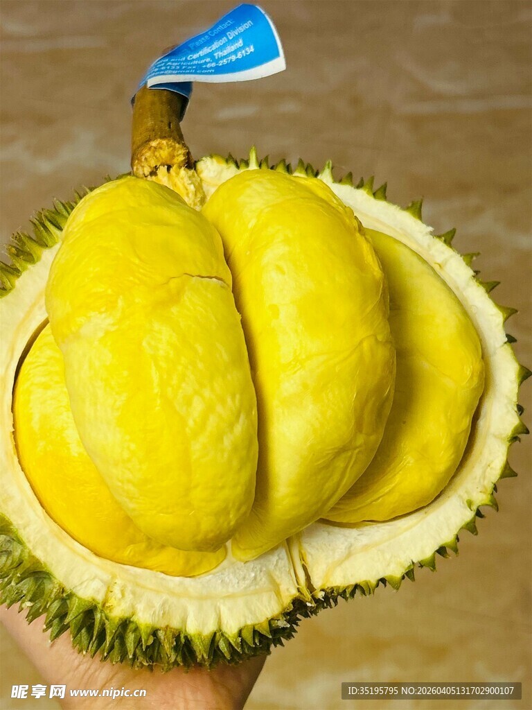 剥开的香甜榴莲果肉