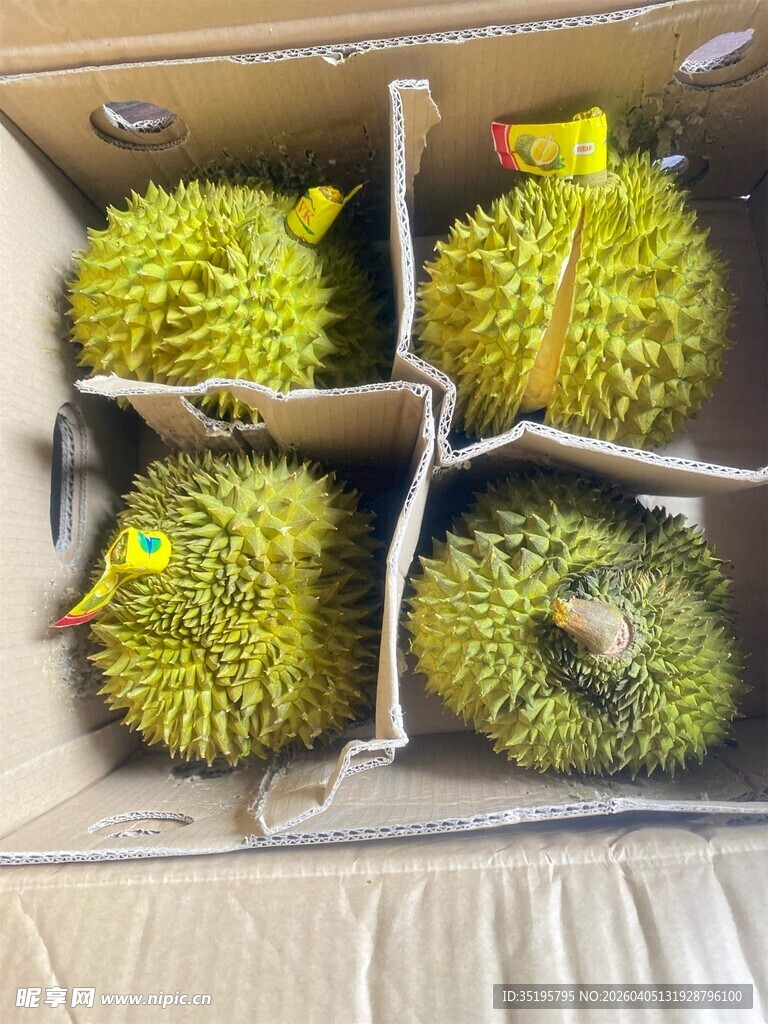 盒装新鲜榴莲待售