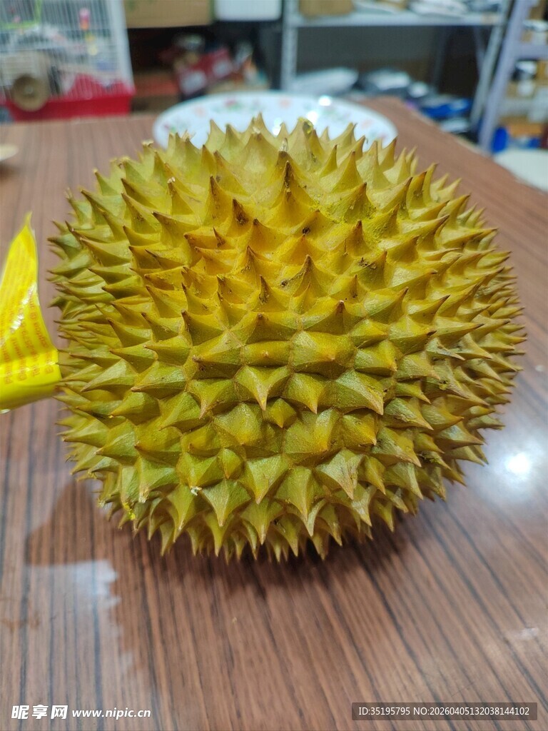 新鲜饱满的榴莲摆于桌面