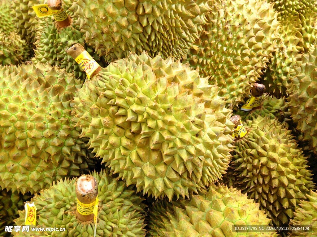 一堆新鲜的榴莲果实