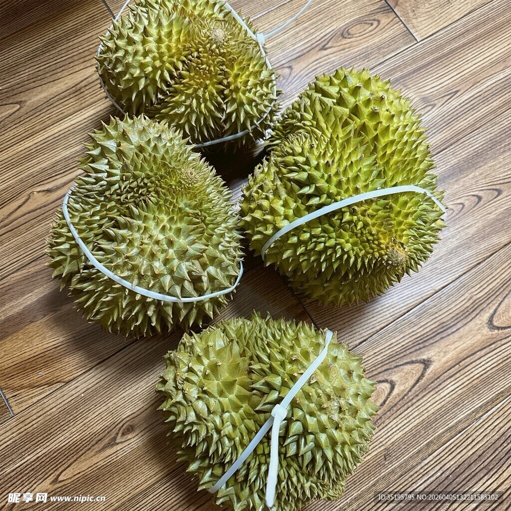 新鲜带刺的未熟榴莲果