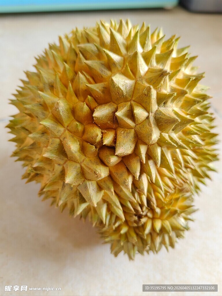 新鲜饱满的榴莲果实