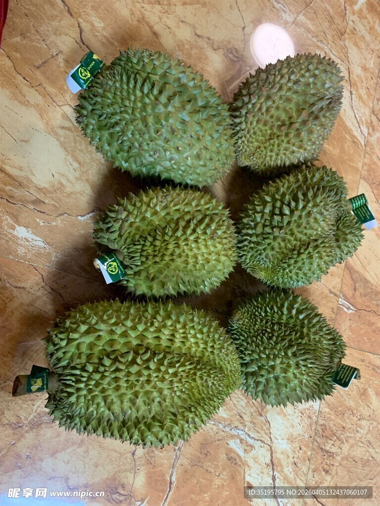 新鲜带刺榴莲果实