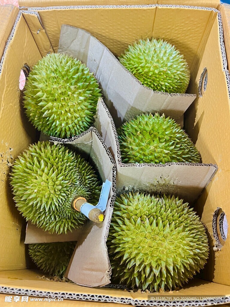 盒装新鲜榴莲果