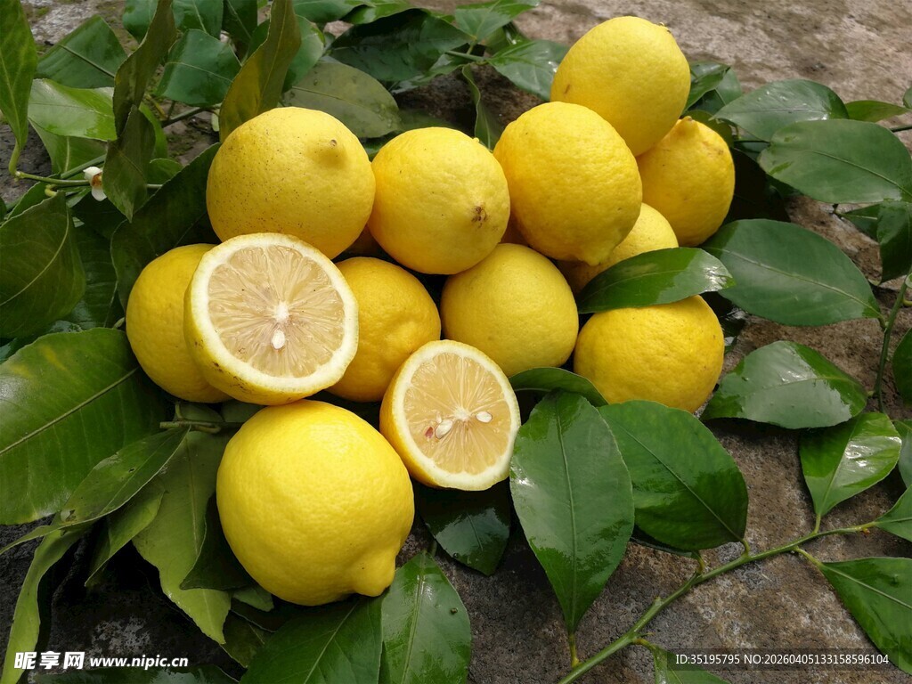 新鲜柠檬堆绿叶相伴