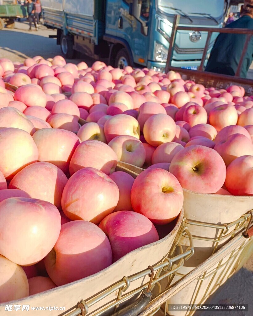 新鲜红苹果堆放在木筐中