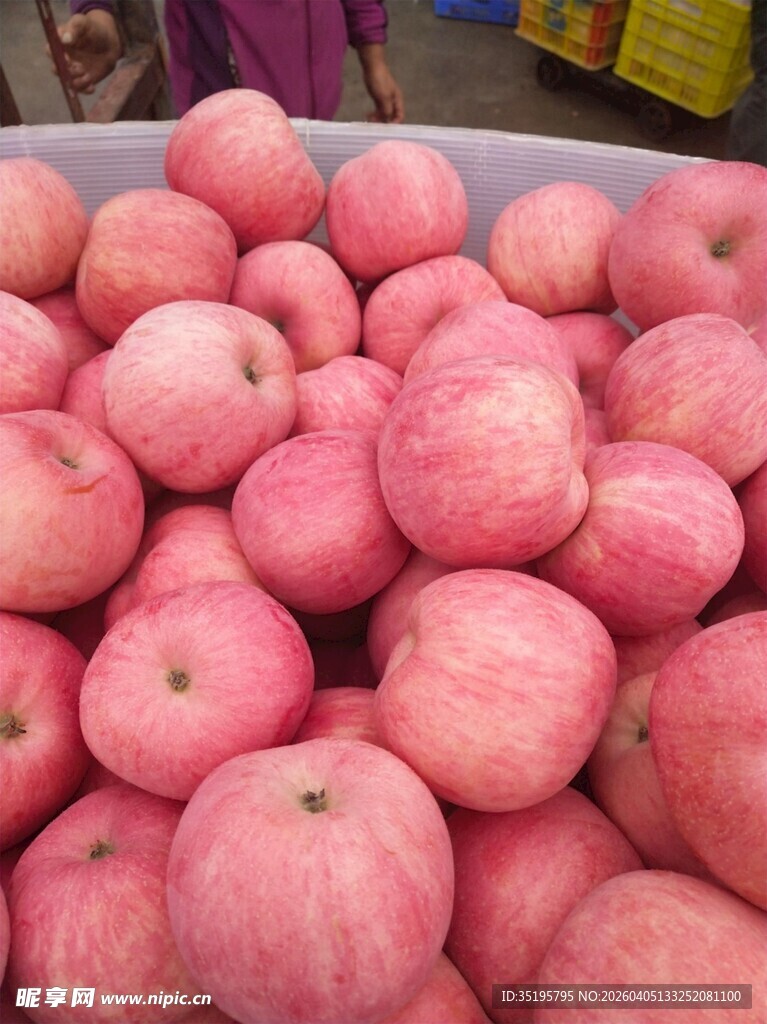 新鲜粉红苹果堆成满满一箱
