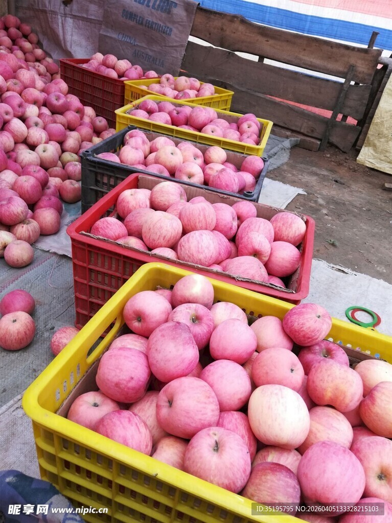 筐中堆放的新鲜红苹果