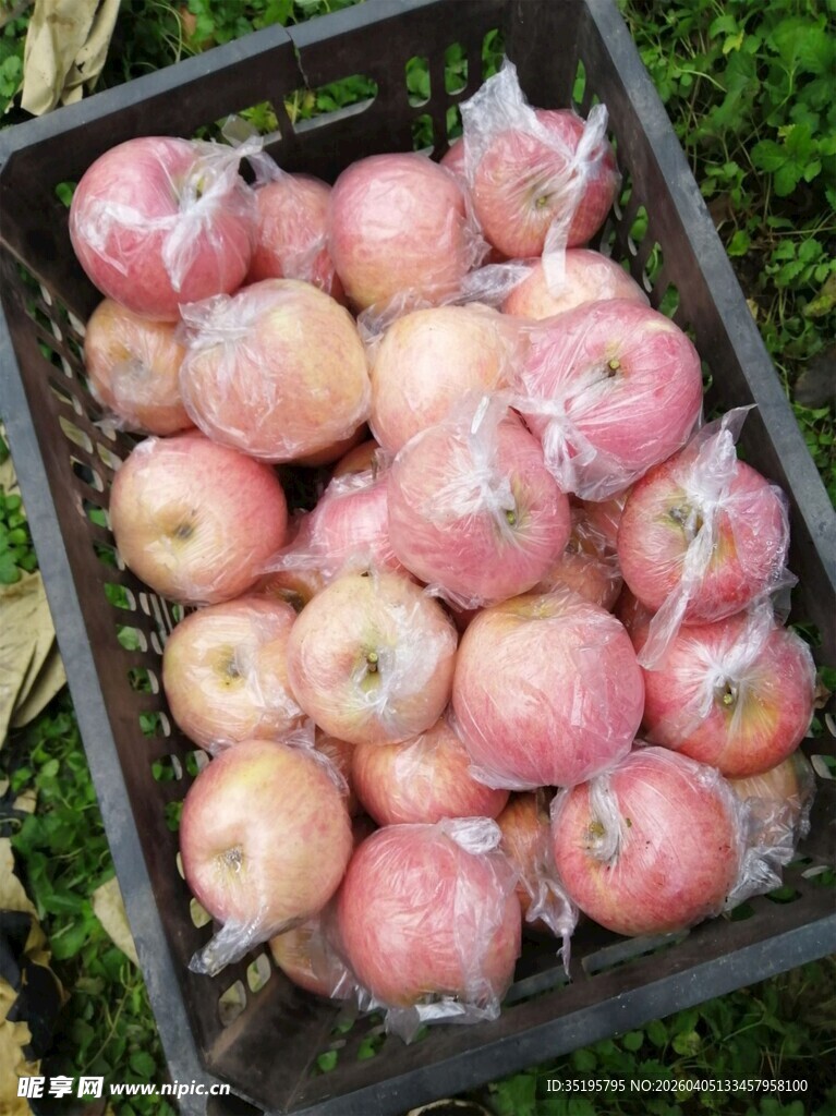 新鲜红苹果装于黑色筐中