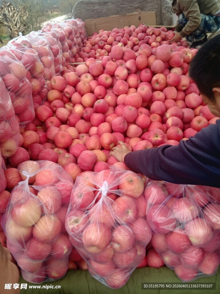 袋装红苹果堆成小山