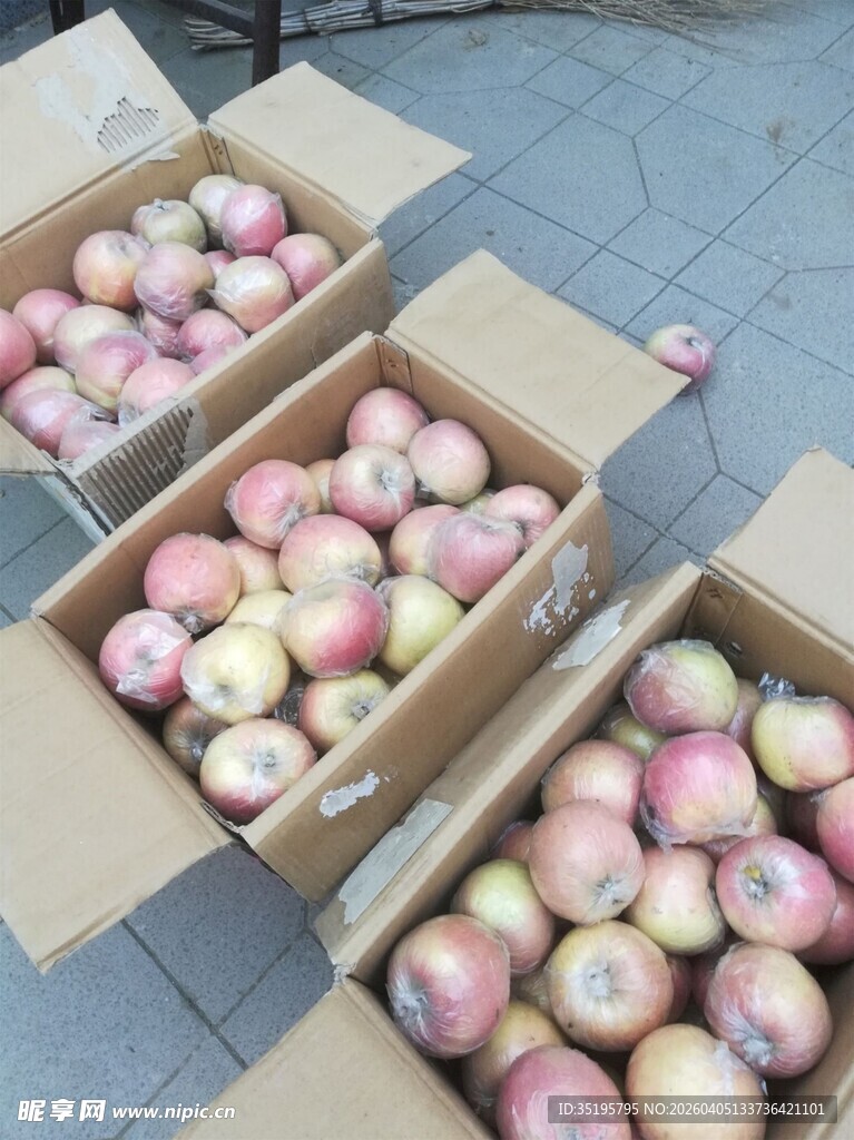 新鲜苹果装箱待售