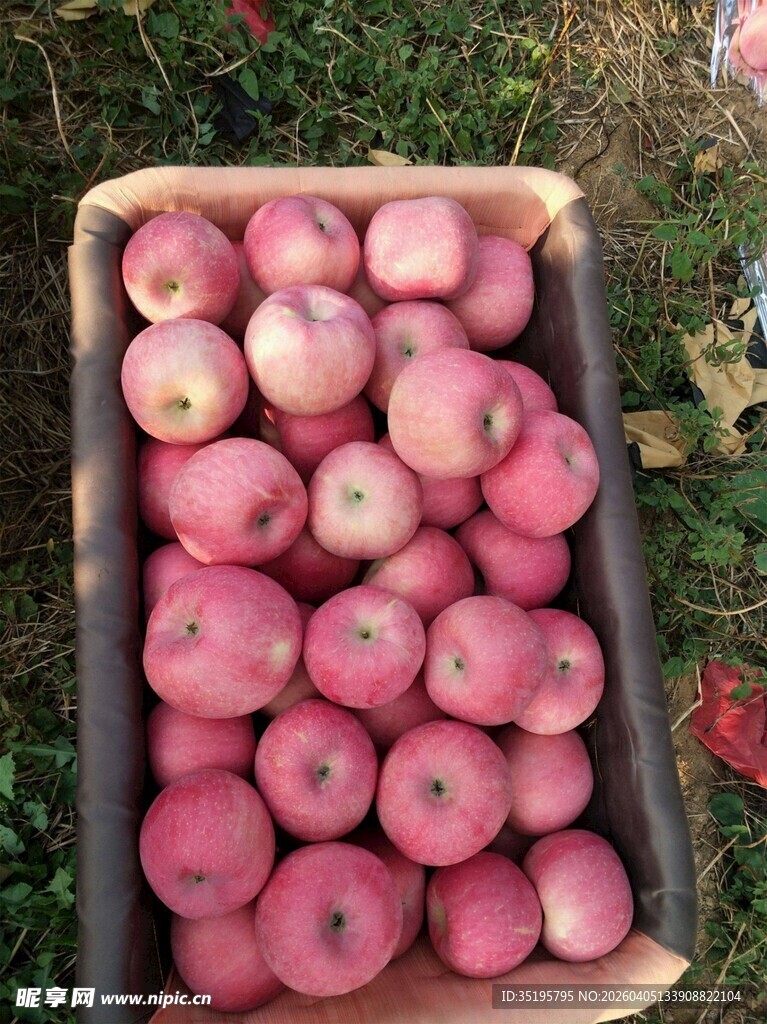 一箱新鲜红苹果