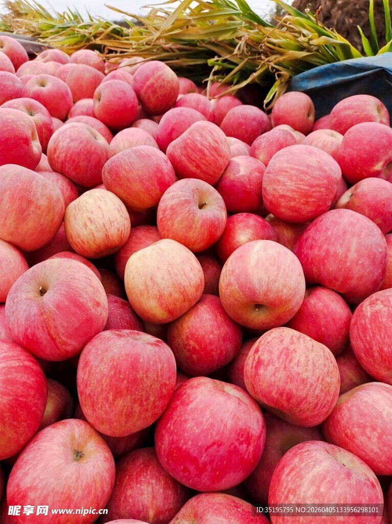 新鲜红苹果堆成诱人景象