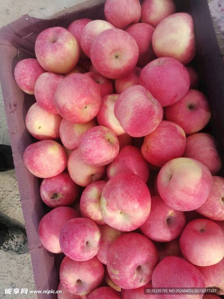 新鲜红粉苹果满满一箱