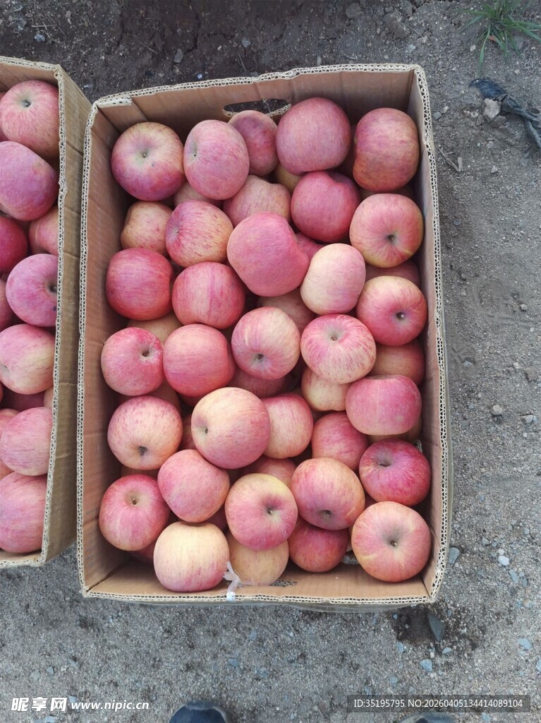 纸箱中堆放的新鲜苹果