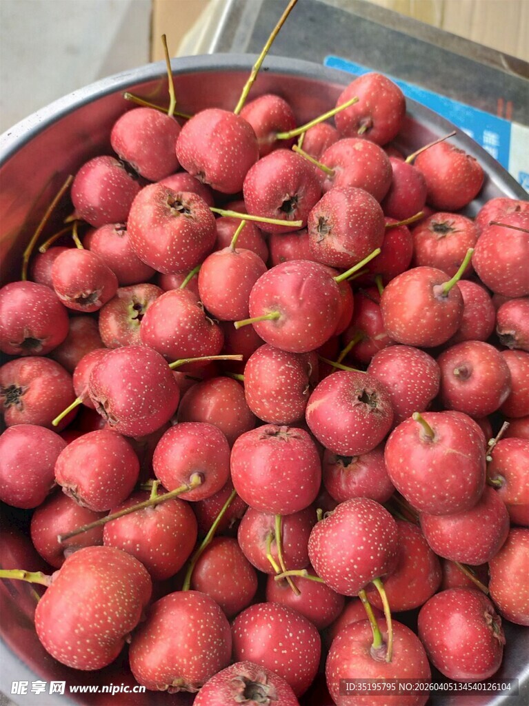 满满一盆红山楂